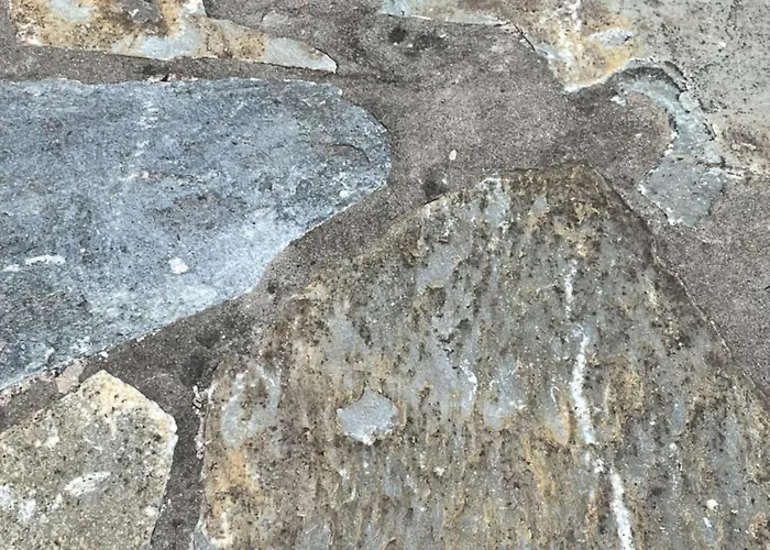 Appartement Poseidon's Rio Vernardhaíika